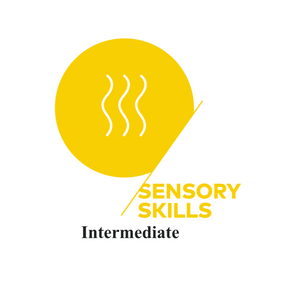 SCA - Sensory Skills Intermediate
